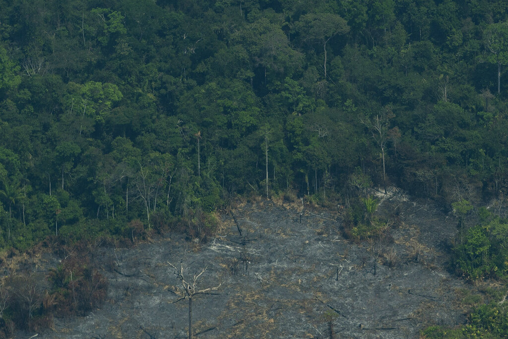 Φιλόδοξο κοινό επενδυτικό πρόγραμμα Βραζιλίας-Γαλλίας για την προστασία του Αμαζονίου